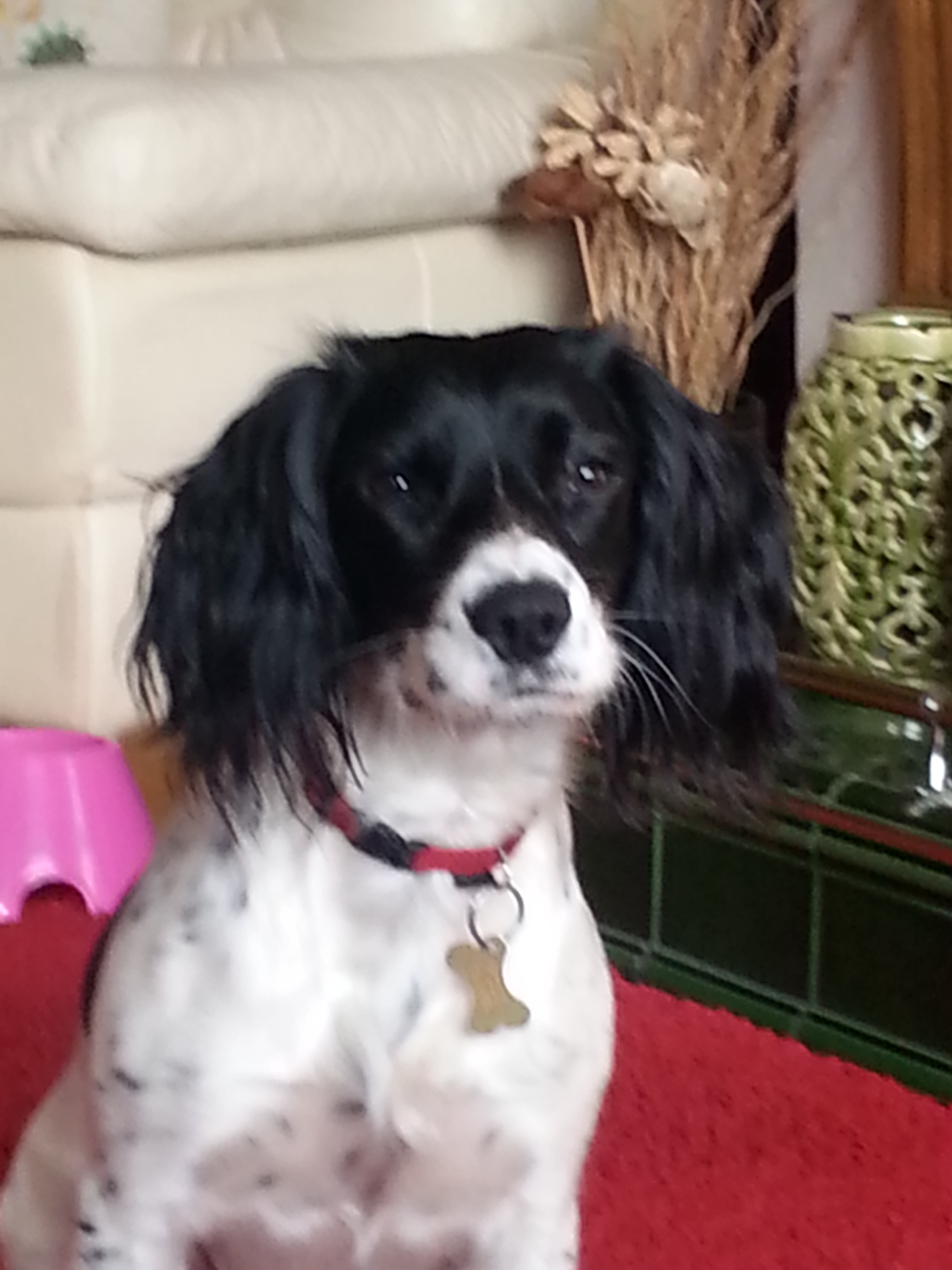 Rosie